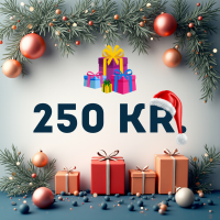 Gaver under 250kr