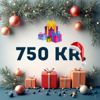Gaver under 750 kr