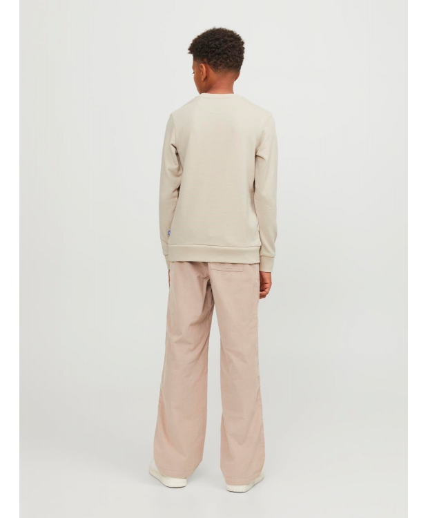 JACK & JONES Junior crew sweatshirt til drenge – moonbeam billede 3