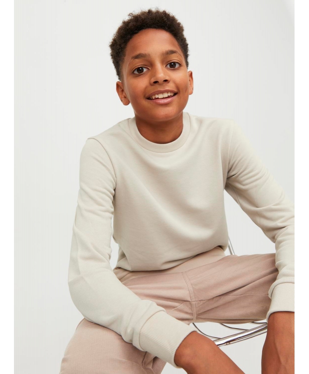 JACK & JONES Junior crew sweatshirt til drenge – moonbeam billede 4