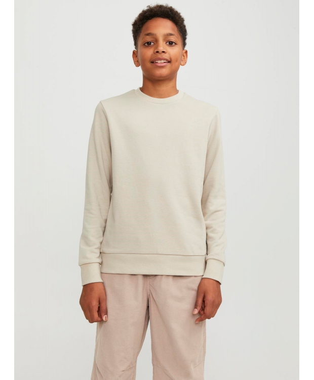 JACK & JONES Junior crew sweatshirt til drenge – moonbeam billede 2