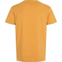 U.S. POLO ASSN. T-shirt til herre – orange regular fit