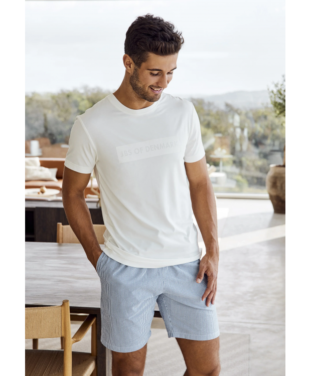 JBS of Denmark "Seersucker" stribet shorts i blå til herre billede 2