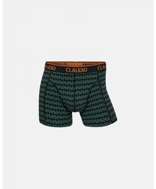 Claudio 2pak underbukser/trunks i multifarvet til herre billede 4
