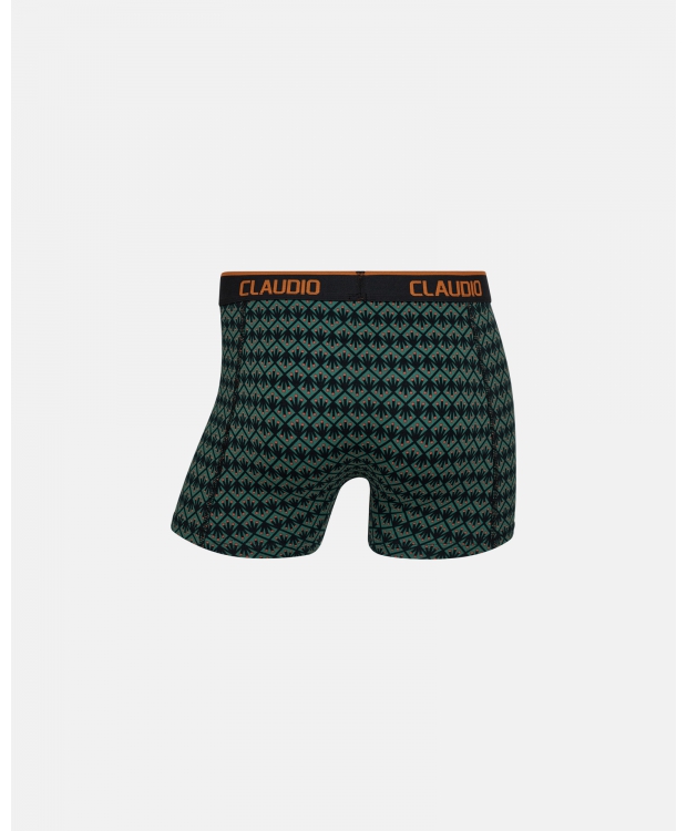 Claudio 2pak underbukser/trunks i multifarvet til herre billede 5