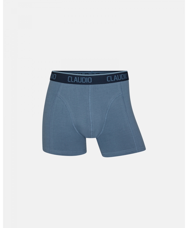 Claudio 2pak underbukser/trunks i blå til herre billede 4