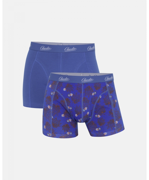Claudio 2pak underbukser/trunks i blå til herre billede 1