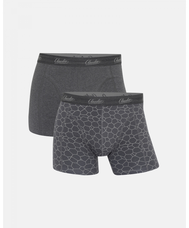 Claudio 2pak underbukser/trunks i grå til herre billede 1