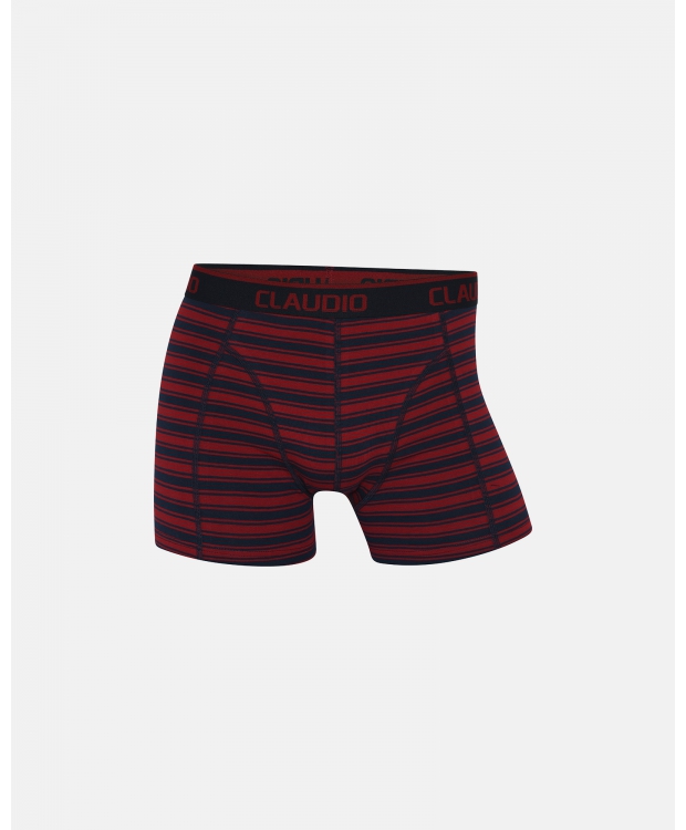 Claudio 2pak underbukser/trunks i multifarvet til herre billede 2