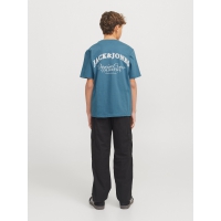 Jack & Jones Junior T-shirt i oceanview blå til drenge