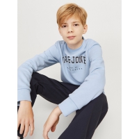 Jack & Jones Junior sweatshirt i lyseblå til drenge