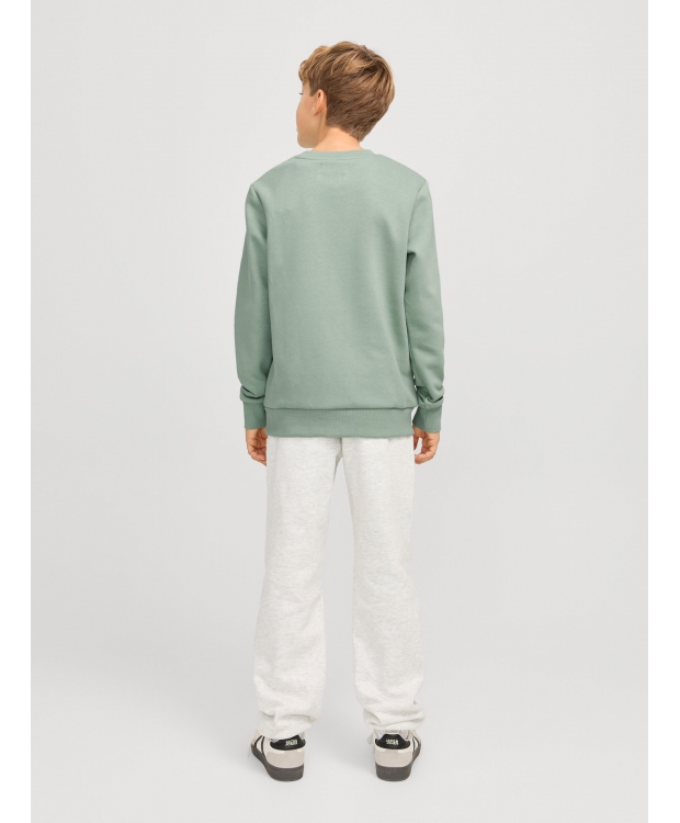 Jack & Jones Junior sweatshirt i støvet grøn til drenge billede 5