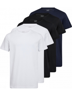 Claudio 5-pak T-shirt i multi farver til herre