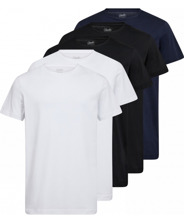 Claudio 5-pak T-shirt i multi farver til herre billede 1