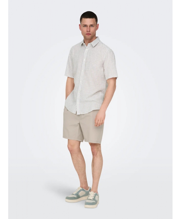 ONLY & SONS Shorts Regular fit i Silver Lining til herre billede 2