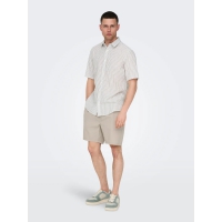 ONLY & SONS Shorts Regular fit i Silver Lining til herre