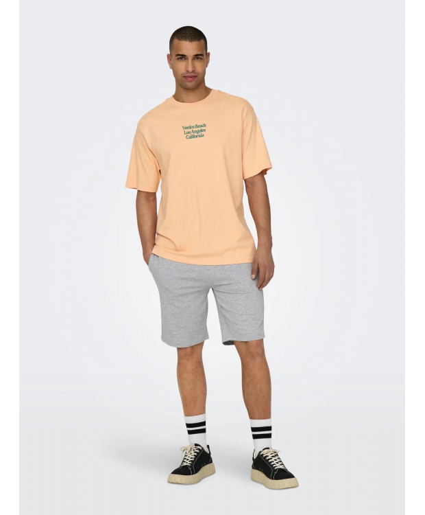 ONLY & SONS Shorts Regular fit i Lysegrå til herre billede 2