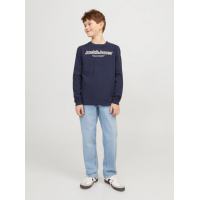 Jack & Jones Junior regular fit-jeans i blå denim til drenge