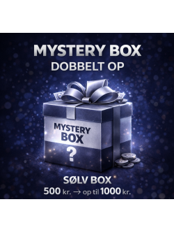 Mystery Box Herre | SØLV BOX