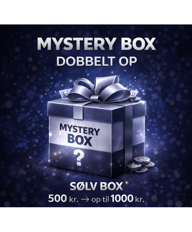 Mystery Box Herre | SØLV BOX billede 1