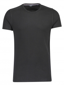 Lindbergh sort T-shirt i 100% bomuld til herre – Outlet